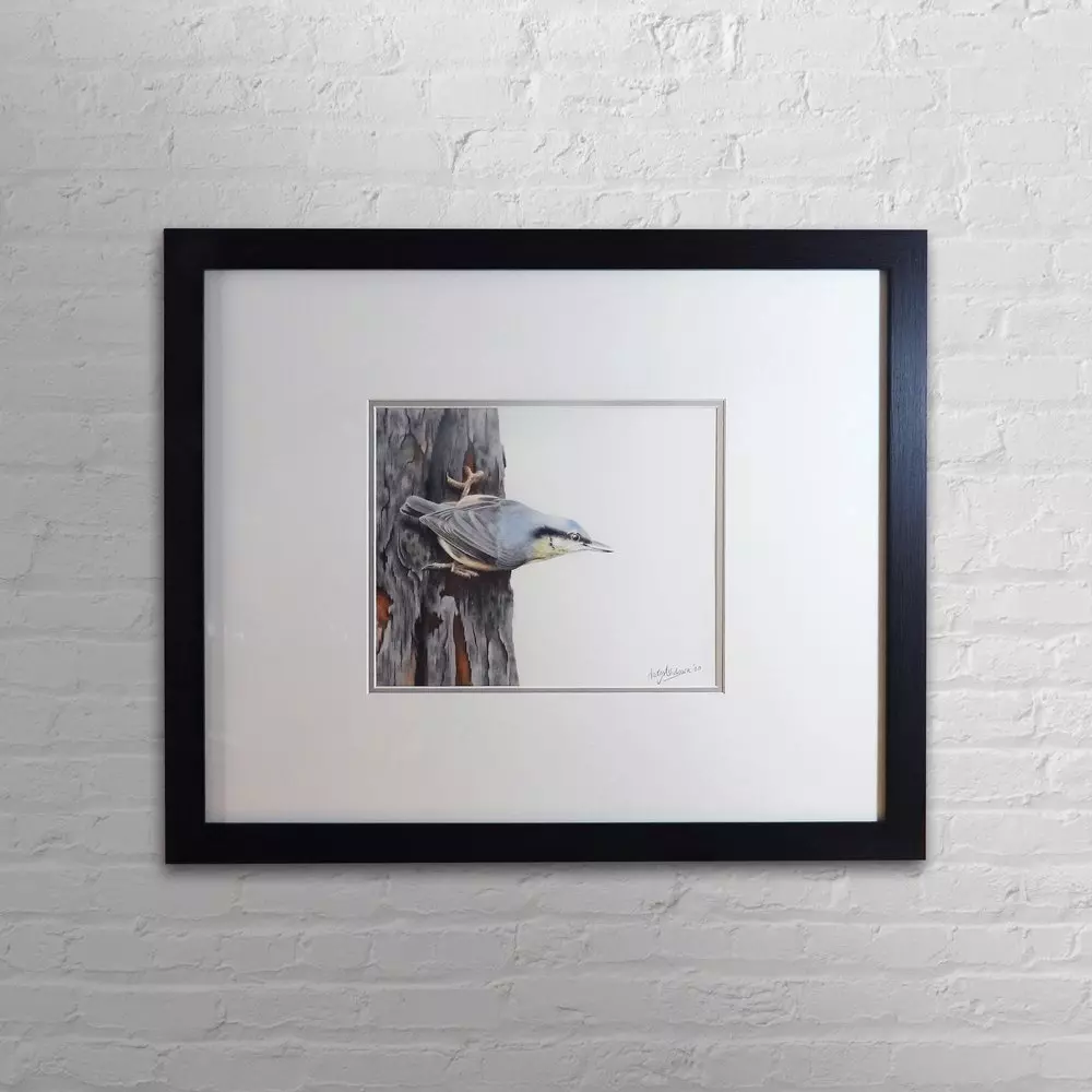 Nuthatch Framed Original